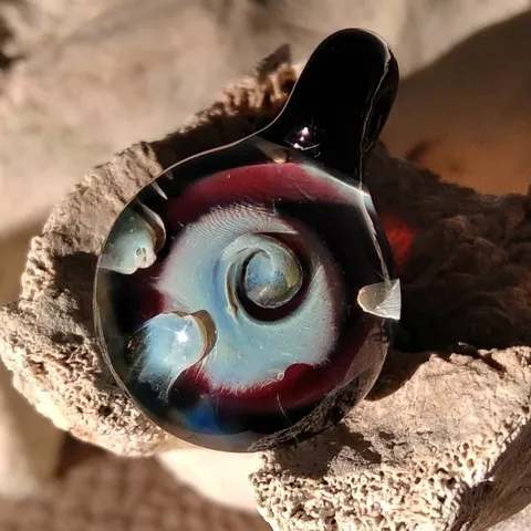 Nautilus