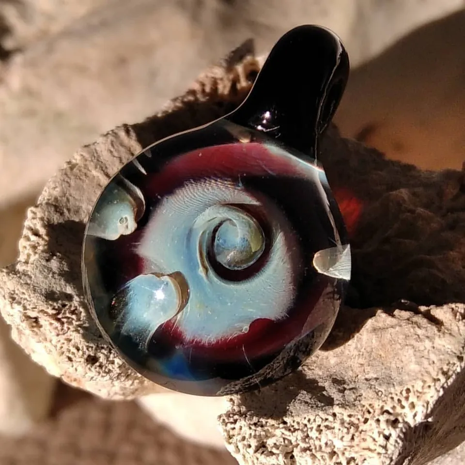 Nautilus